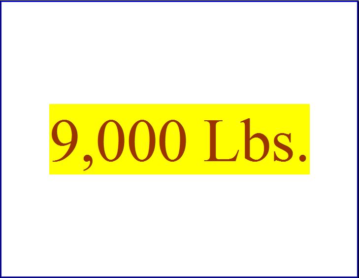 9000 Lbs.jpg
